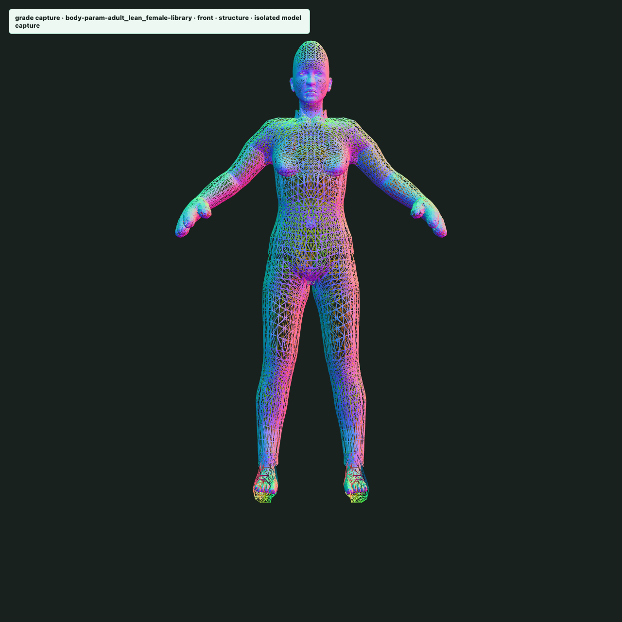 Structure pass of the same body: a normal-shaded wireframe showing complete continuous topology including separated fingers and thumbs